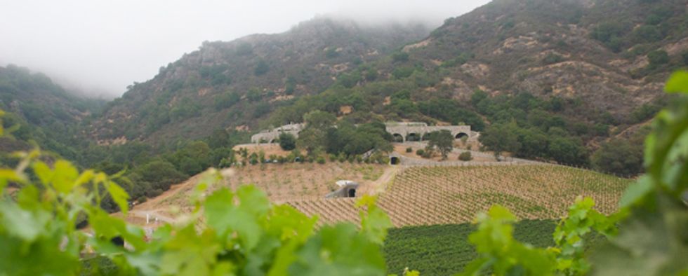 Napa Valley Insider: Palmaz Vineyards, The Winery Inside a Mountain