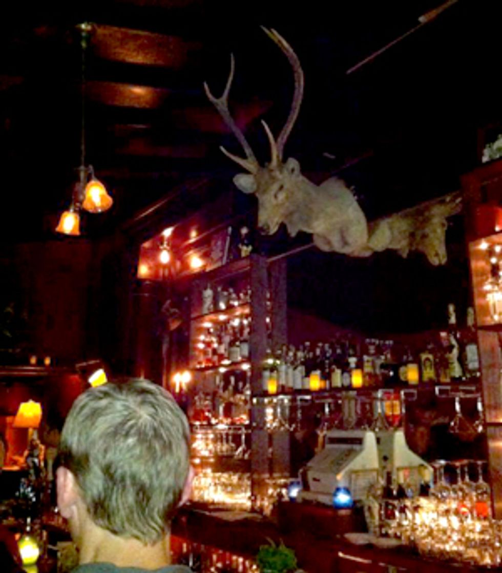 The Royal Cuckoo Lands in La Lengua