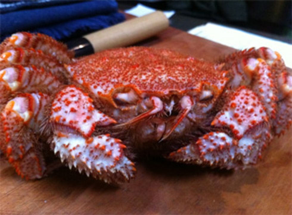 Hairy Crab at Sebo Tonight, Get Them While They're Cold