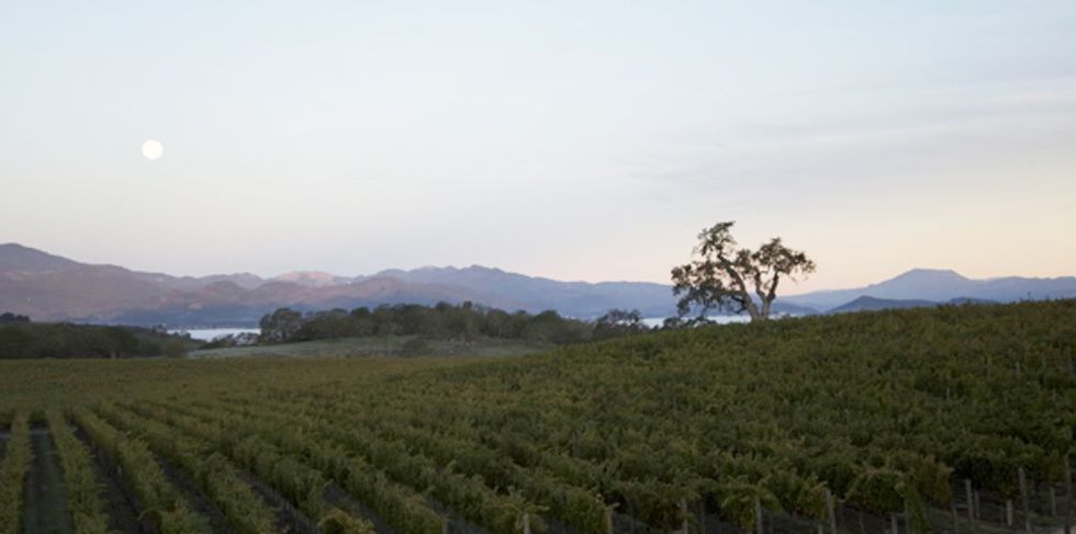 Coombsville Gets Uncorked: The Napa Region is Becoming Its Own AVA