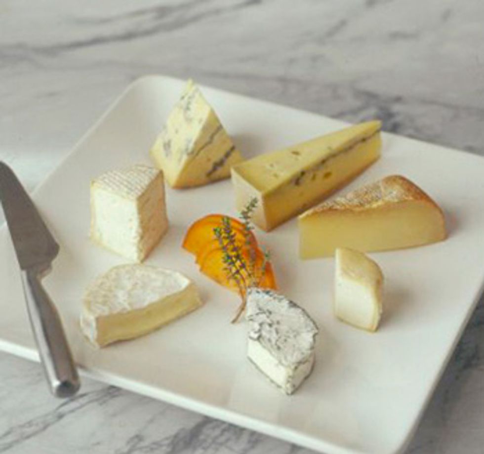 FERMENT[cheese] Event at Berkeley Art Museum Explores Milk's Journey to Cheesehood