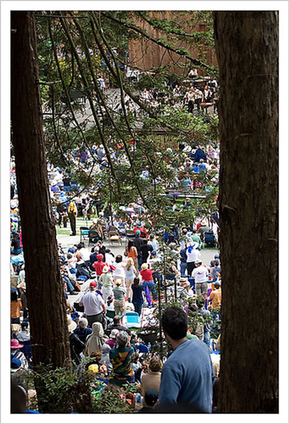 Stern Grove's 2011 Season Announced!