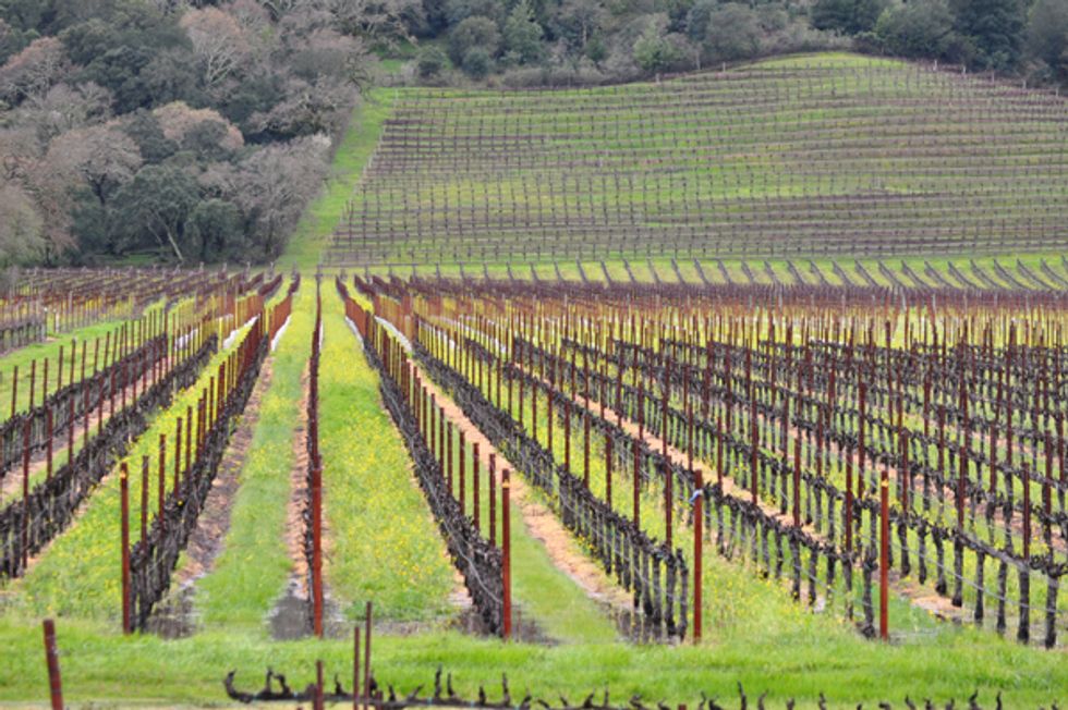 Giveaway: Take Your Mom to Napa for Rutherford Passport Weekend