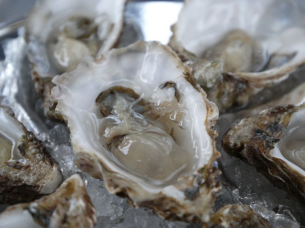 Shucking, Slurping, & Jamming: SF Oysterfest 2011 Comes to Fort Mason This Weekend