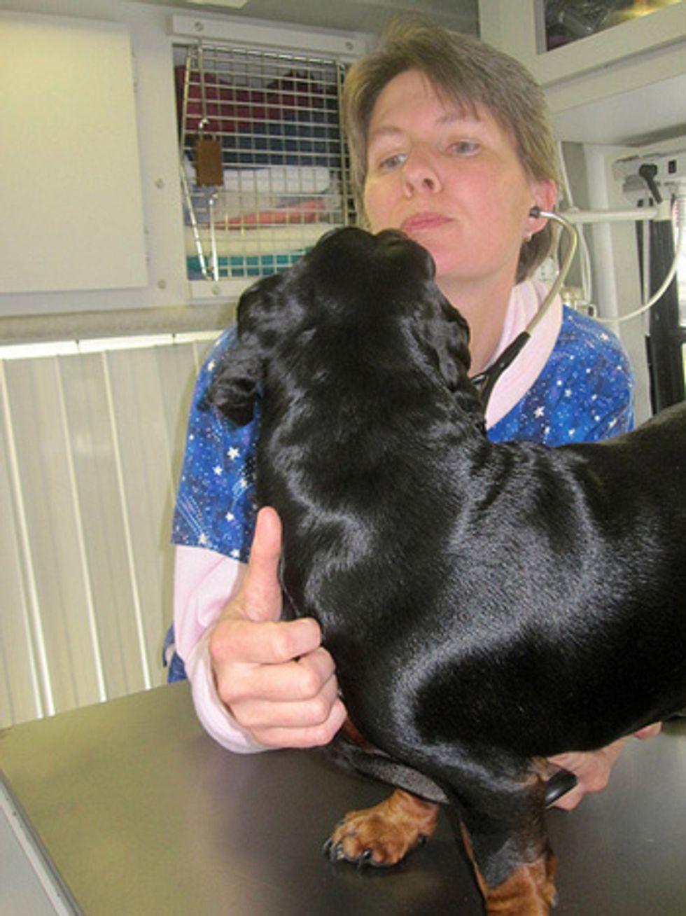 Ask A Vet: How To Calm Your Nerves (And Your Dog's) at the Vet's
