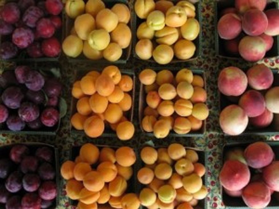 U-Pick Fruit Farms in the Bay Area – Strawberries, Peaches, Blackberries & More