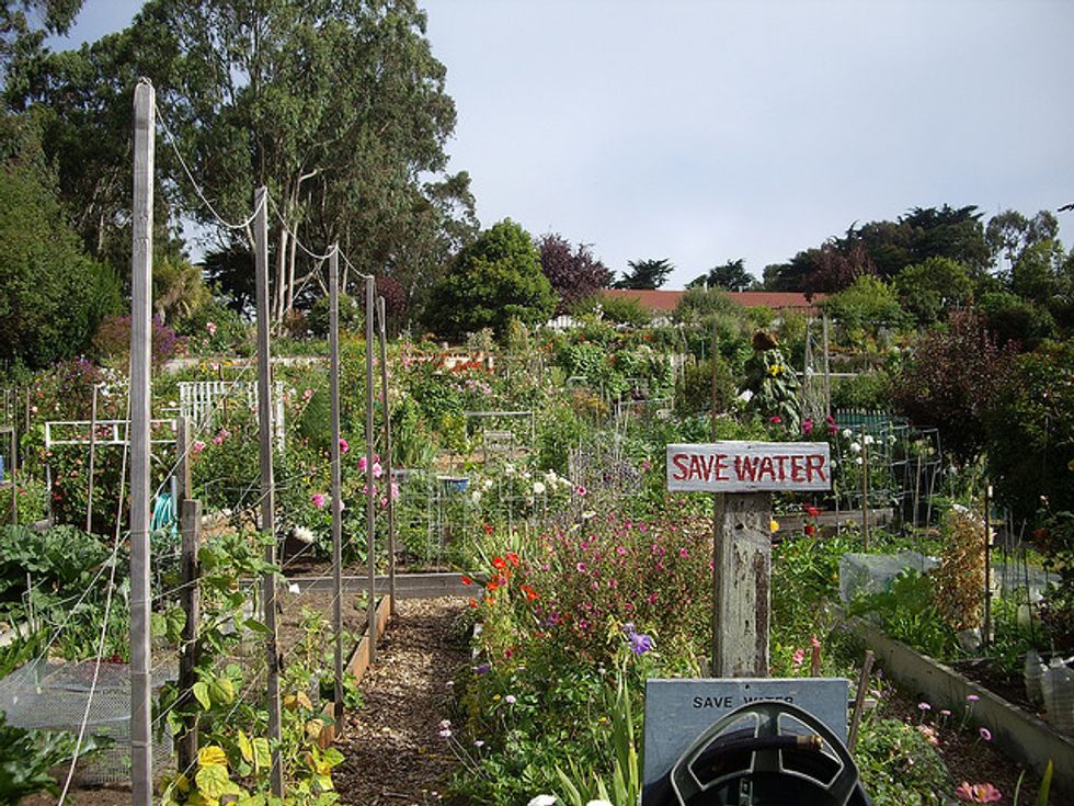 A Guide to Community Gardens Around the City