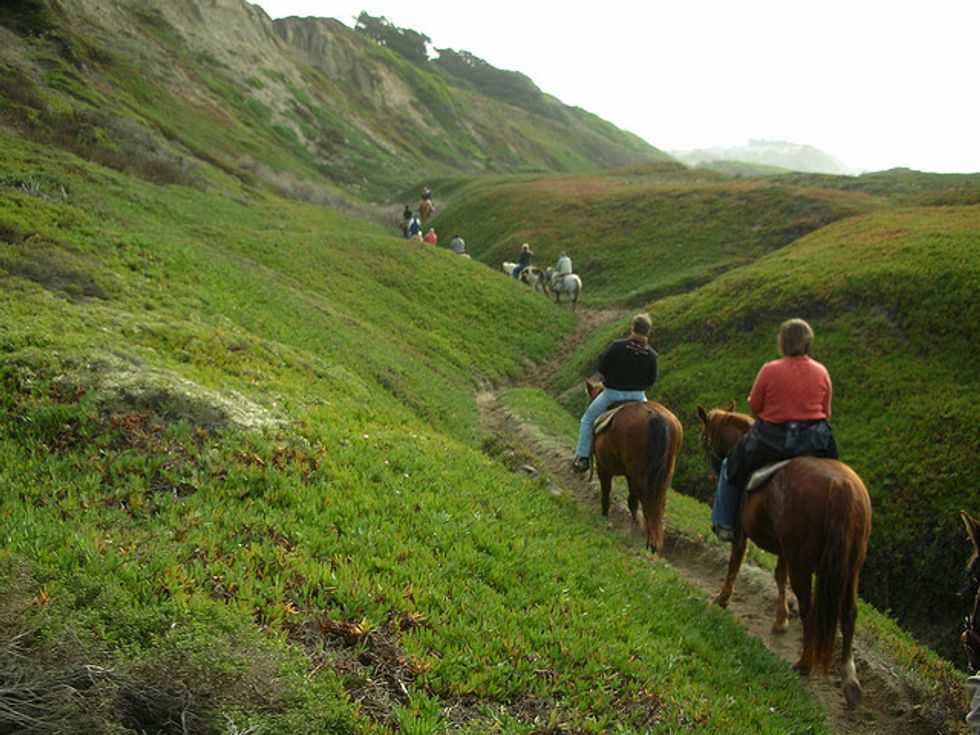 Where to Horseback Ride Within 1.5 Hours of SF