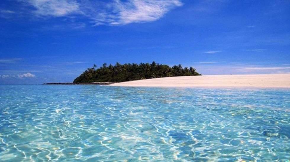 Ashton Kutcher Blows Up Local Start-Up Airbnb, Signs on as Advisor