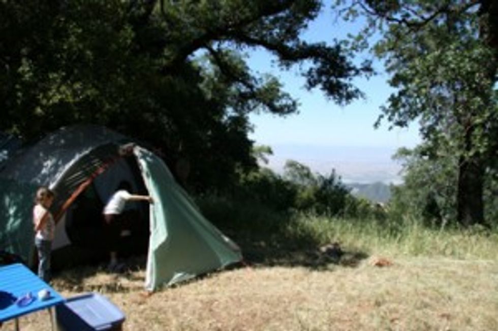 Bay Area Last-Minute Camping Ideas (For Kids)