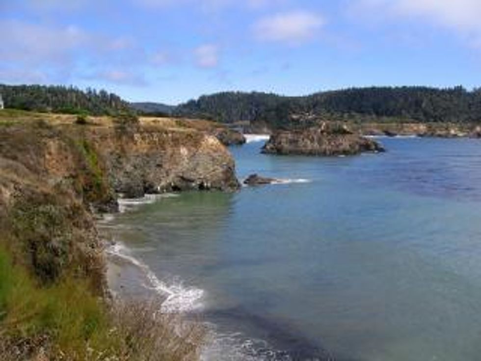 Taste of Mendocino Brings Wine, Artisan Food and Microbreweries to Fort Mason