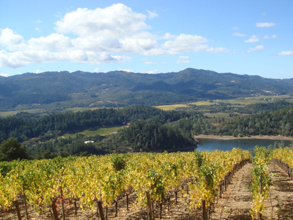 6 Wineries That Showcase the Best of Napa Valley to Out-of-Town Visitors