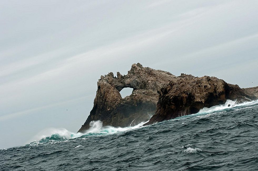 Solo Swim Between San Francisco and The Farallon Islands Starts Tomorrow