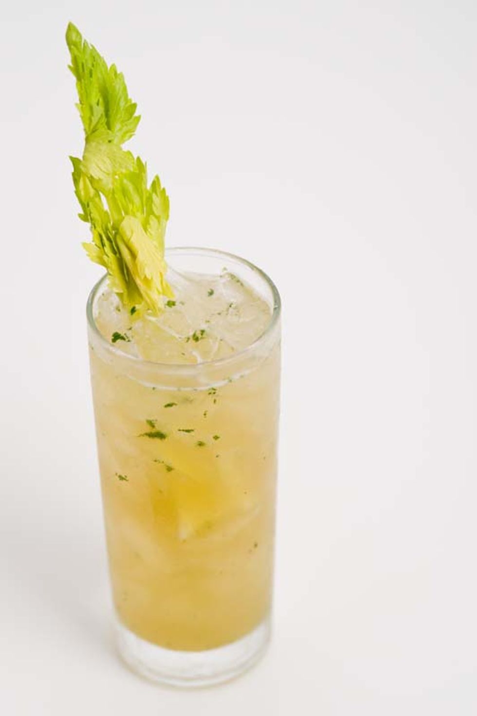 Secret Recipe: Celery Cup from Elixir