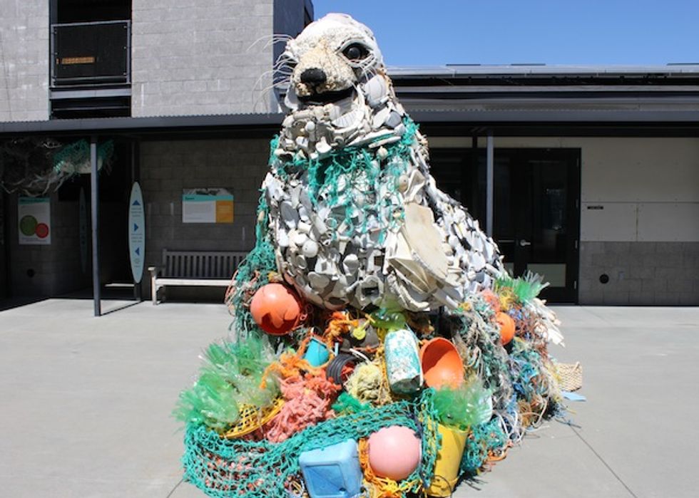 Washed Ashore: A Community Art Project Floods The Marine Mammal Center