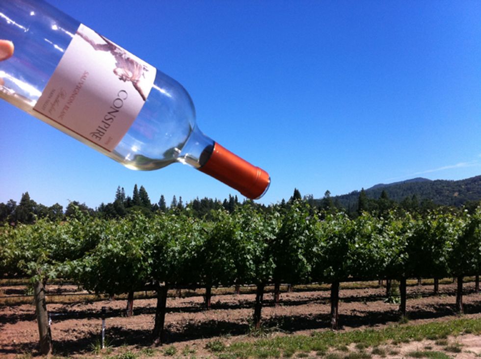 Why Some Wines Give You Hangovers 7x7 Bay Area