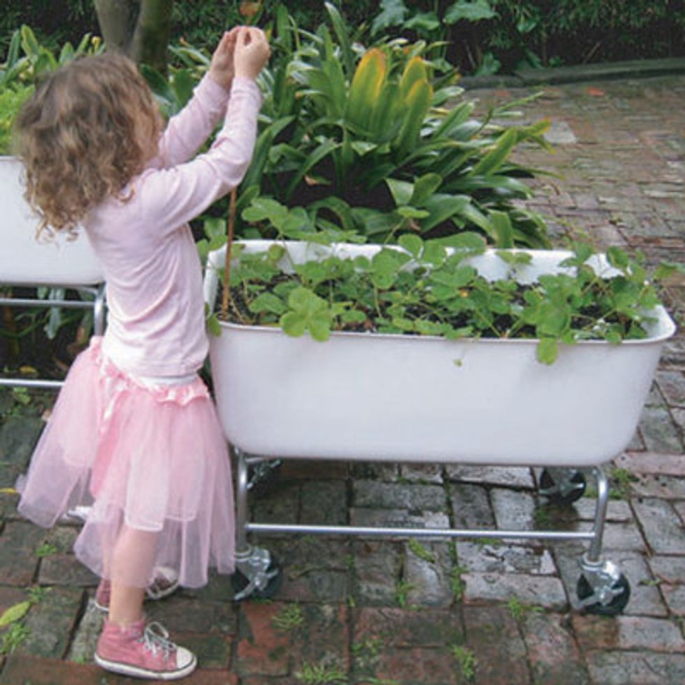 Fire Escape Farms Pop-Up Shop: Green Thumbs for Small Spaces