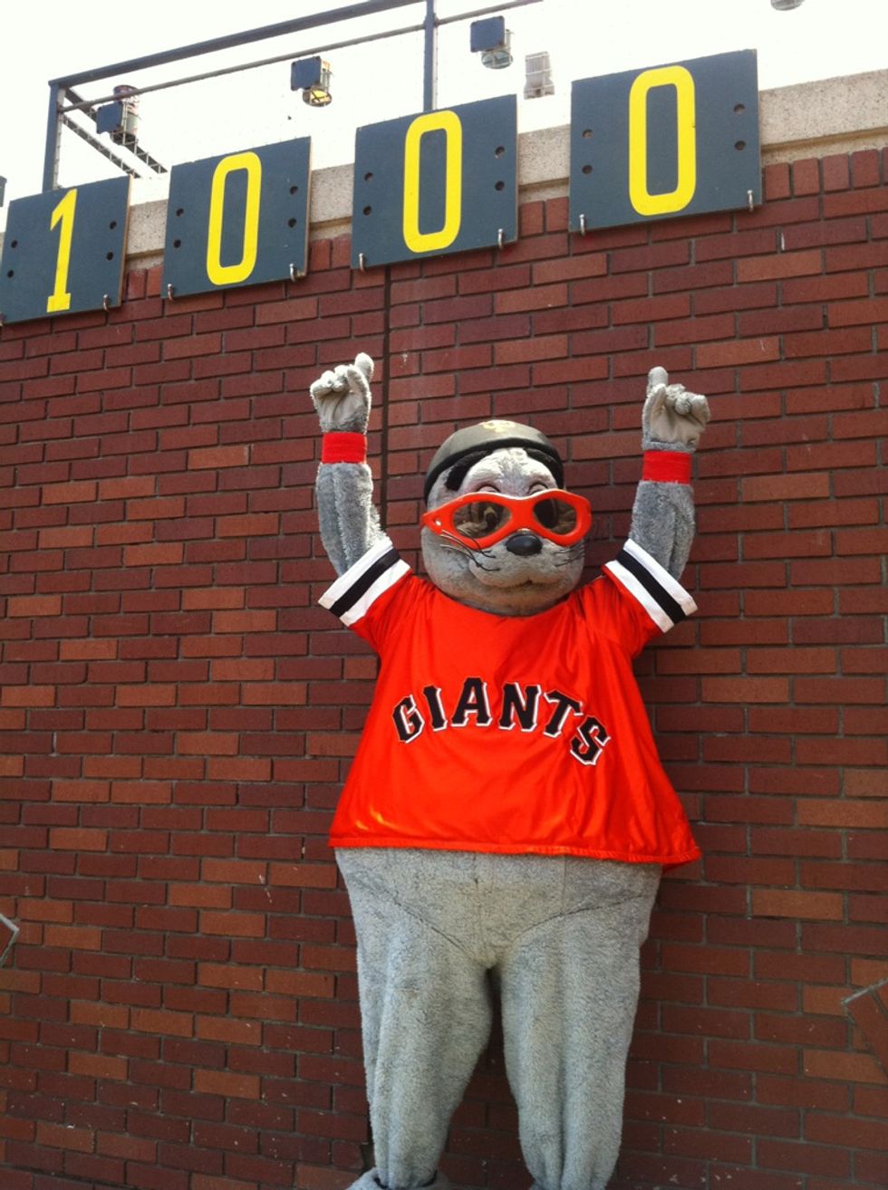 Getting To Know Your Favorite Giant: Lou Seal