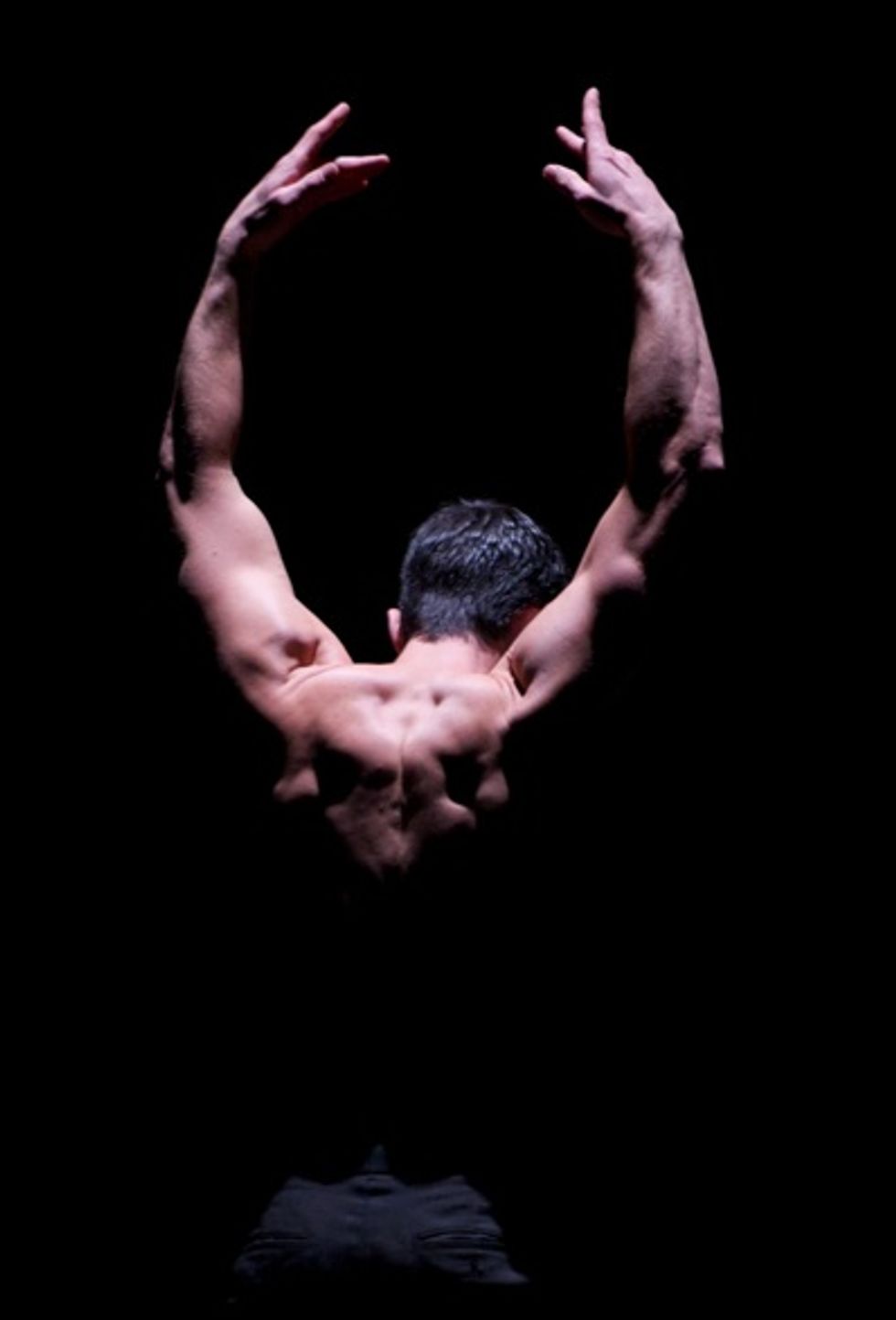 Wine and Contemporary Dance at West Wave Gala