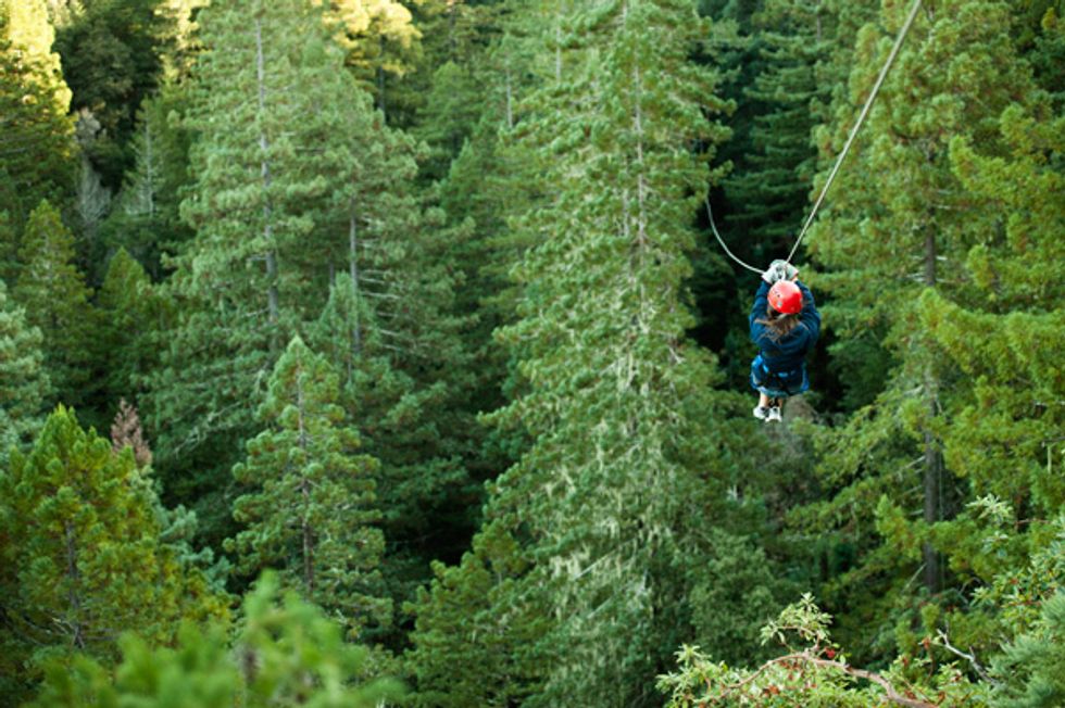 4 Ziplining Adventures Within 4 Hours of San Francisco