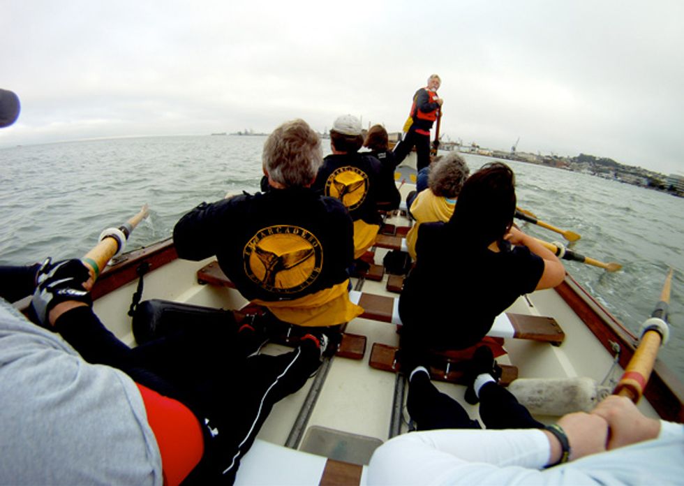 Go Whaleboating the Bay with the Embarcadero Rowing Club