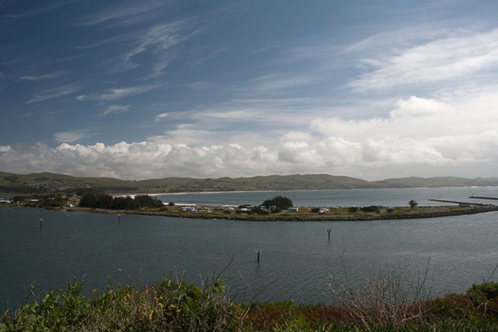 Bodega Bay With Kids: What To Do, Where to Eat and Where to Stay
