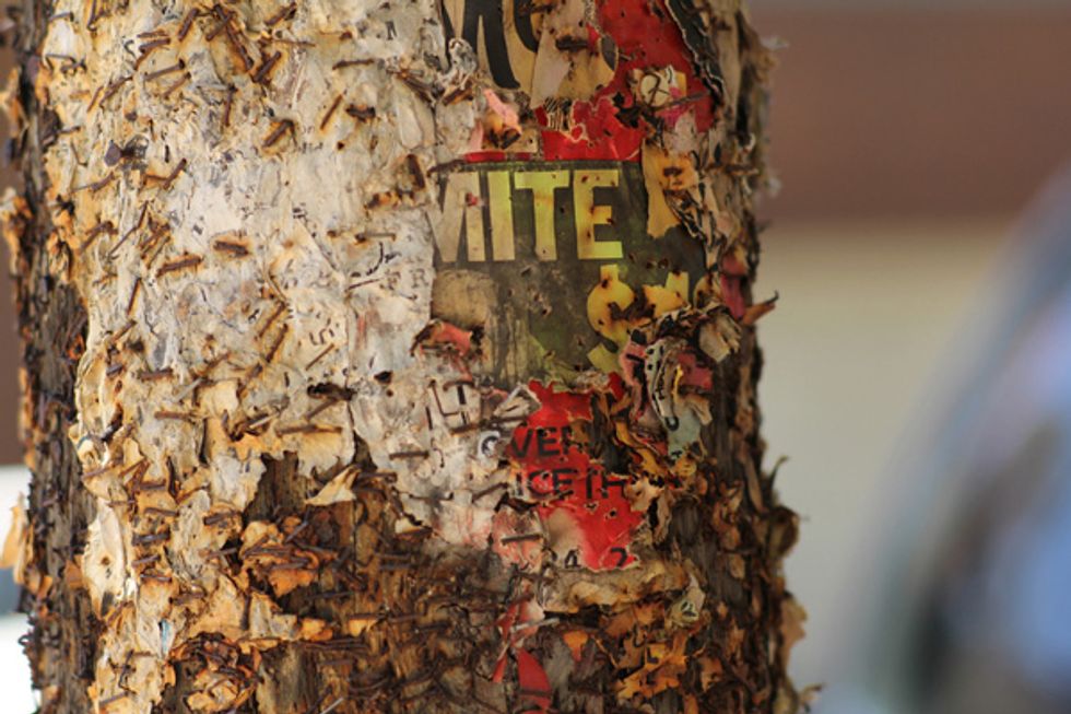 Bay Area Designer Brian Singer Turns SF's Telephone Poles into Art for Target