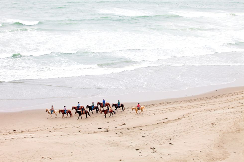 Where To Get Equestrian with Guided Trail Rides, Lessons and More In The Bay Area