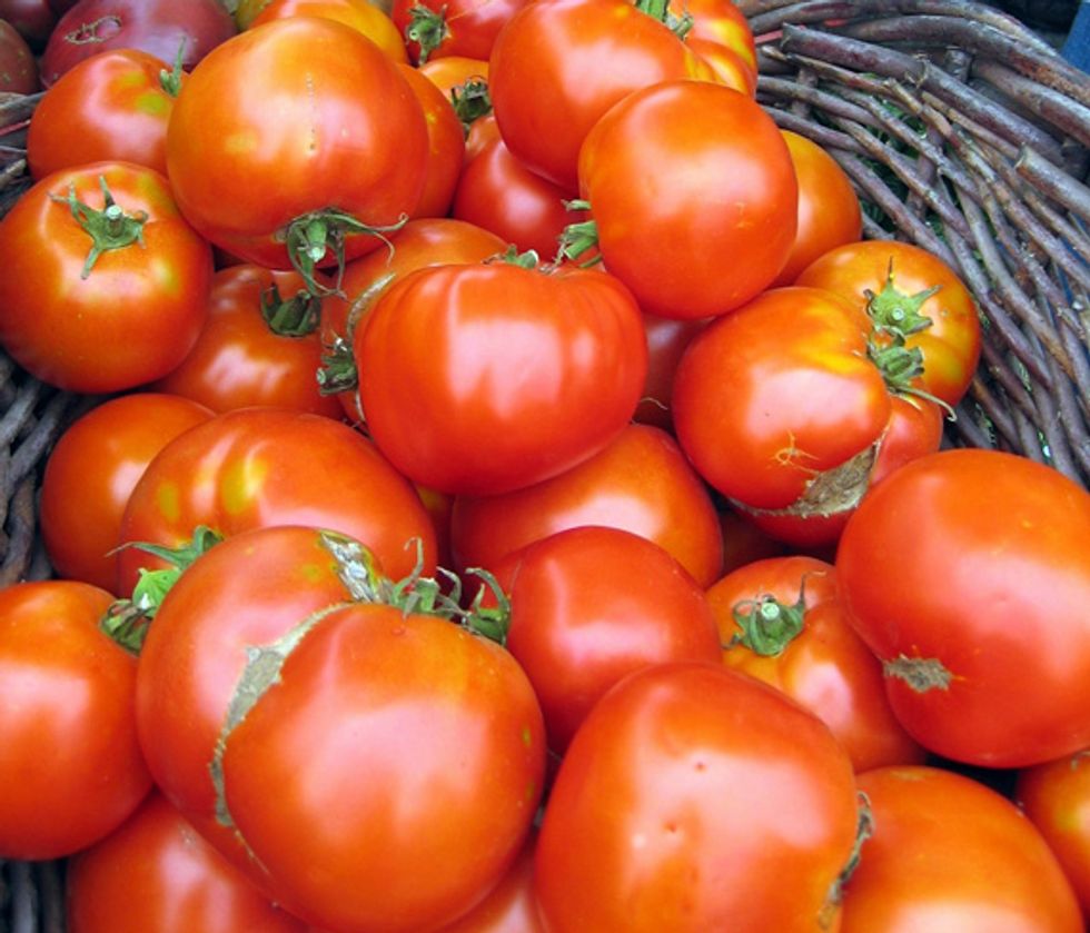 Market Watch: The End Of Tomato Season