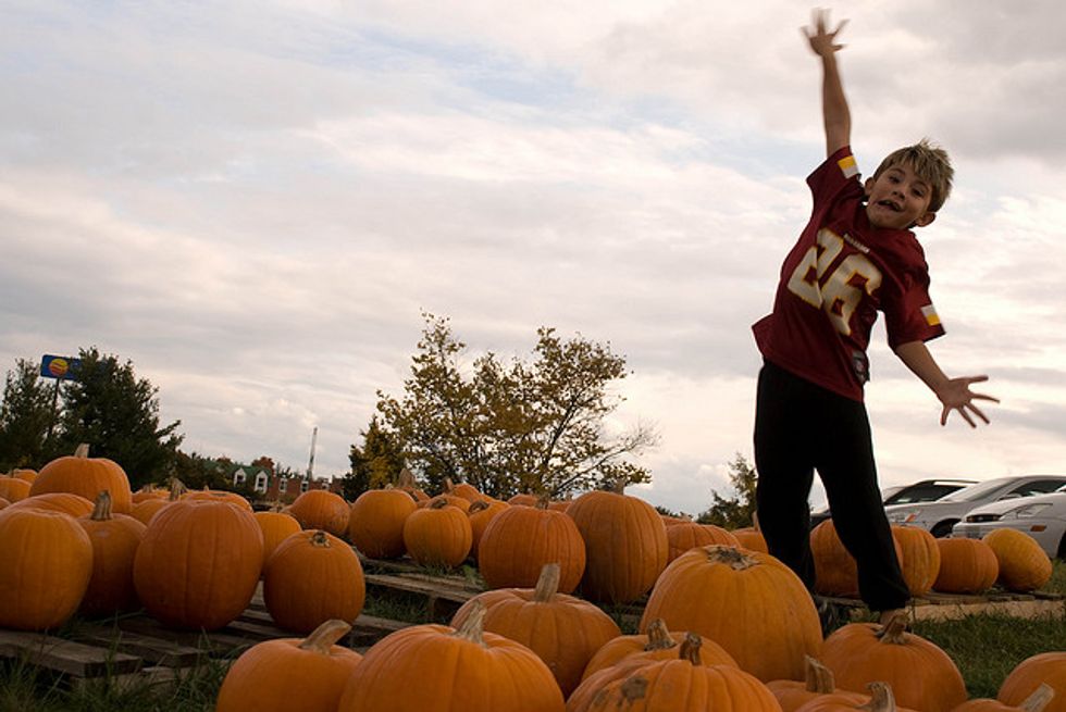 Kid-Friendly Pumpkin Patches in the Bay Area