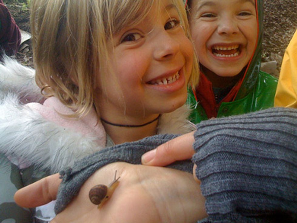 Hayes Valley: A San Francisco Neighborhood for Kids