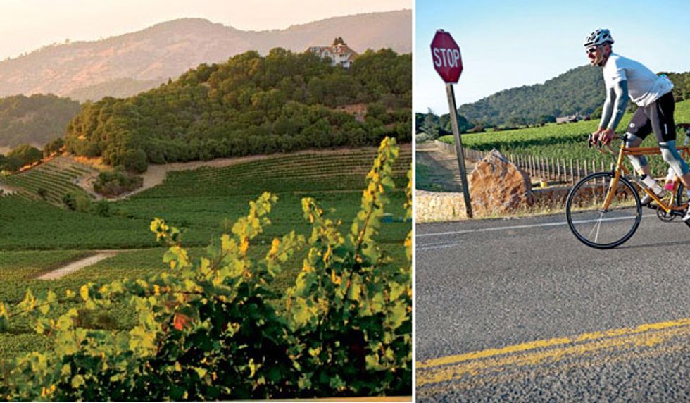 Ditch Your Car & Get On Your Bike for the Ultimate Napa Valley Wine Tour