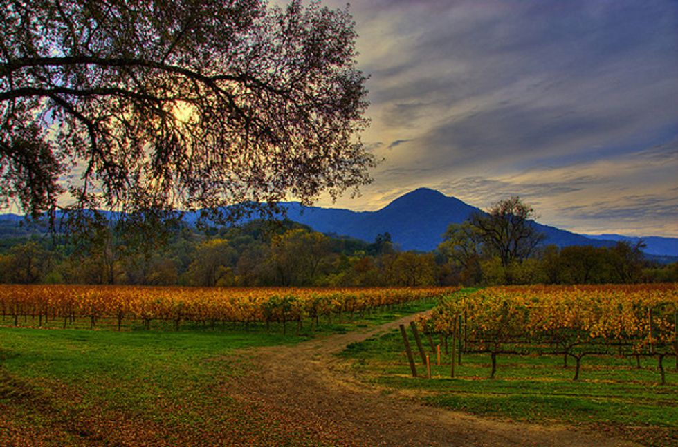 Party Time in Sonoma: Harvest Celebrations and Seasonal Shindigs