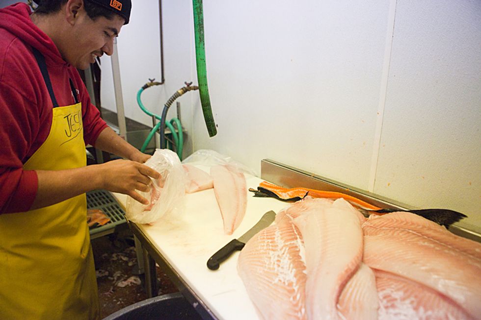 Pier to Plate: Part 2