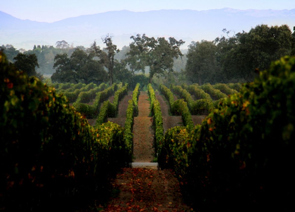 Five Fantastic Off-the-Beaten-Path Wineries and Their Neighbors