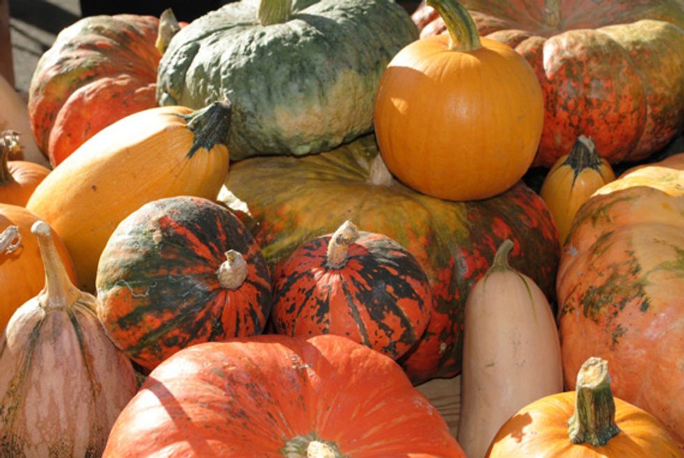 Market Watch: Winter Squash and Pumpkins Invade The Ferry Plaza