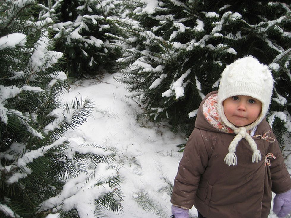 Kid-Friendly Christmas Tree Farms in the Bay Area