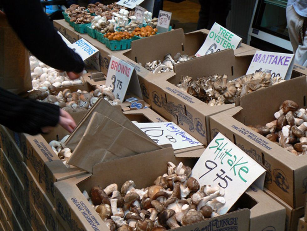 Market Watch: Far West Fungi's Winter Mushroom Offerings