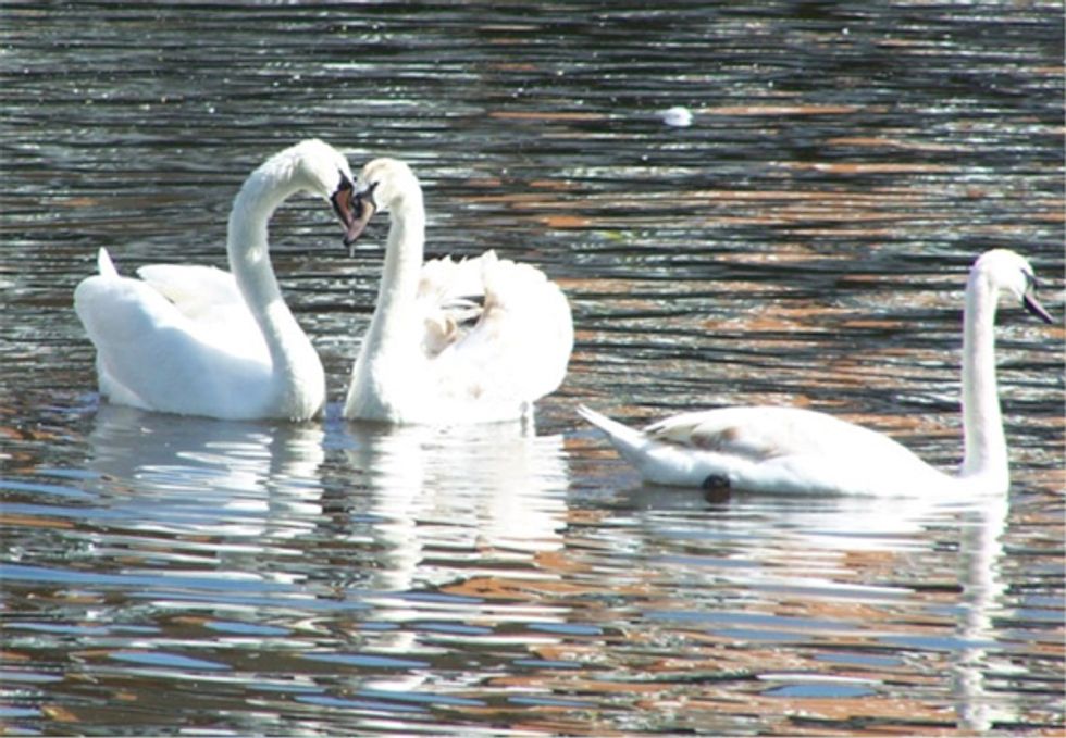 Two Sense: Should I Have Dinner With My Girlfriend and Her Ex?