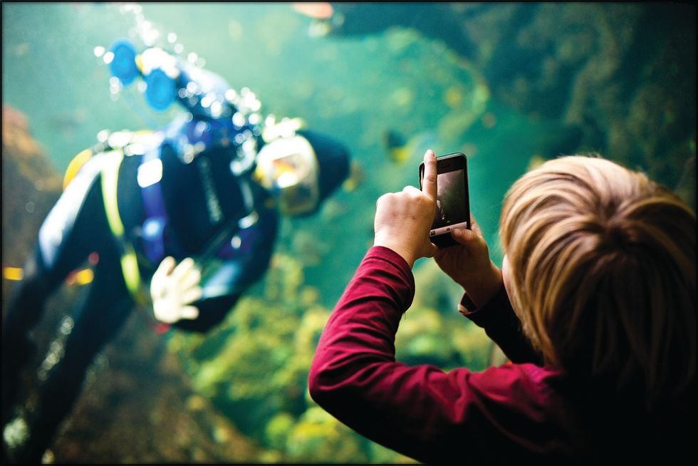 Join the Cal Academy of Sciences' LoveLife Photo Competition!