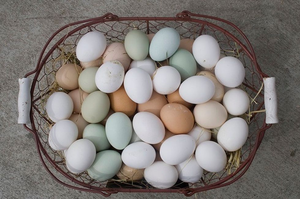 Foodie Agenda: Pasture-Raised Eggs, Food Trucks in the FiDi (and more)