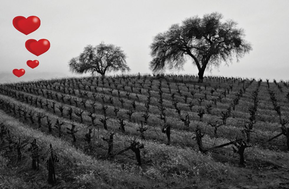 The Perfect Valentines Day in Napa and Romantic Wine Country Specials