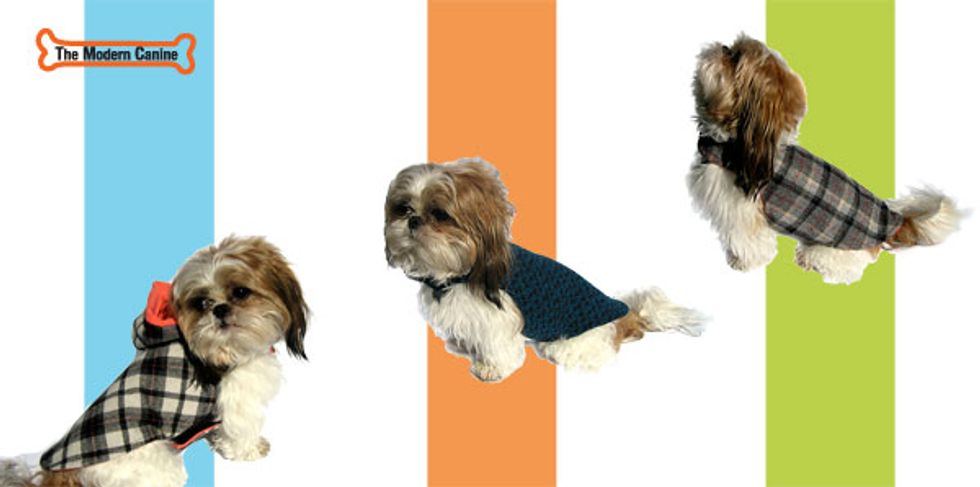 The Modern Canine: Reused Fashion For The Dogs (And Cats)