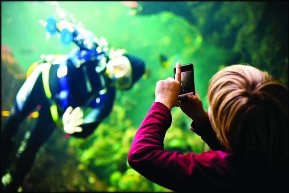 Experience the Cal Academy of Sciences' "NightLife's Dark Room"