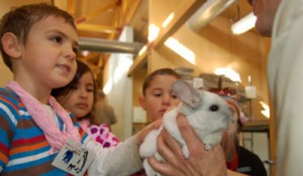 Spring Break Camps for Kids