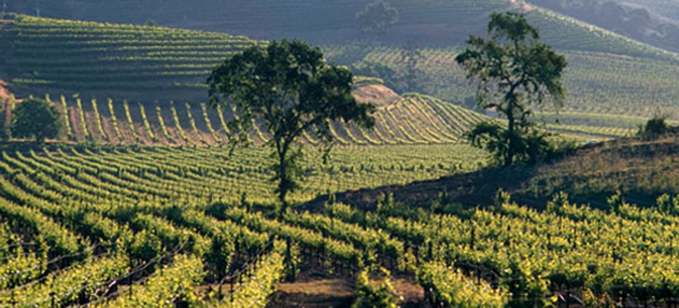 Want to be a Baller? Head North of Napa for Vineyard to Vintner Weekend