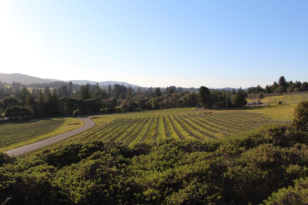 Weekend Getaway to Mendocino, Northern California's Other Wine Country