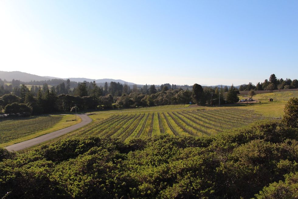 Weekend Getaway to Mendocino, Northern California's Other Wine Country