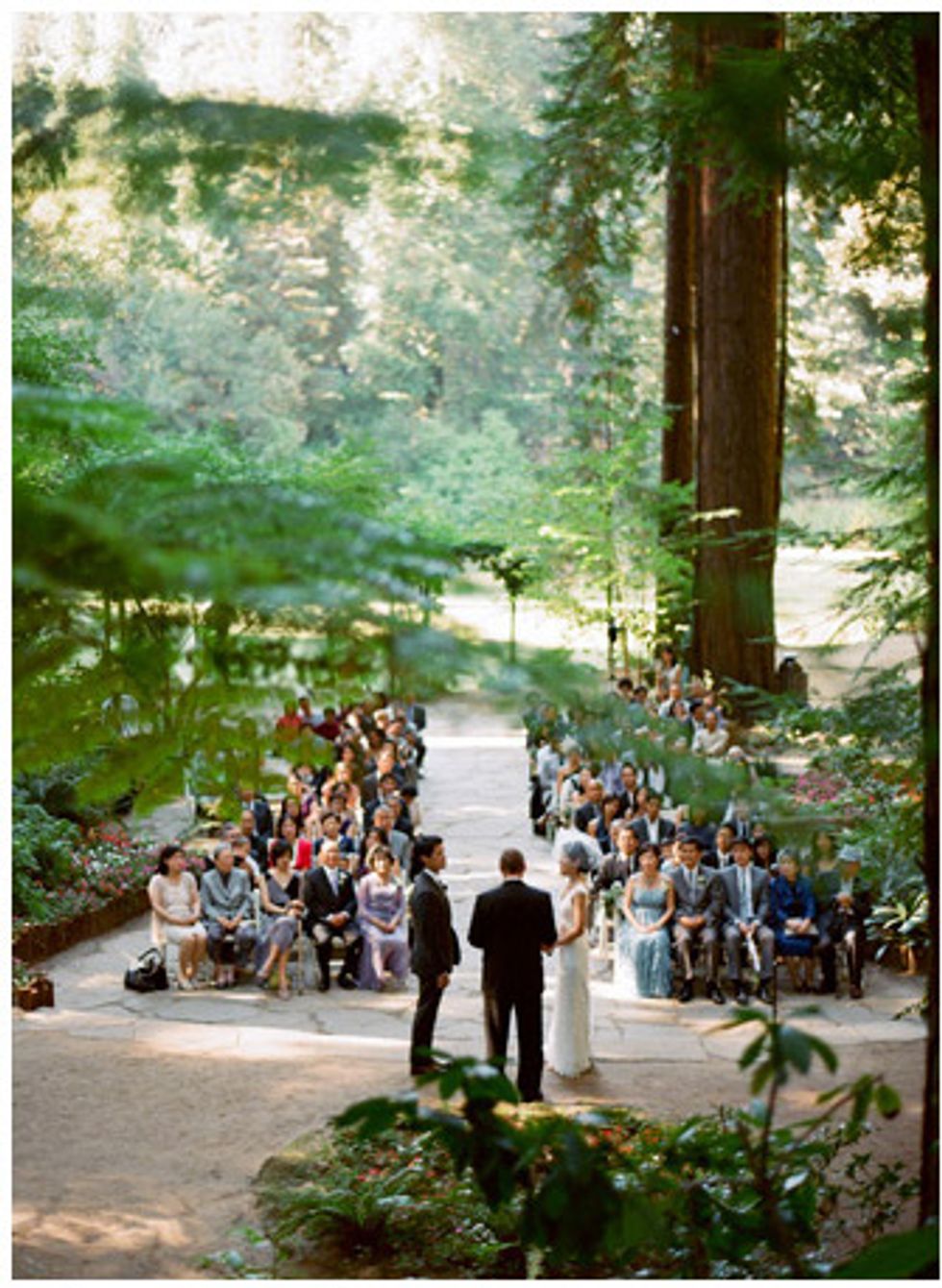 A Wedding Under the Redwoods