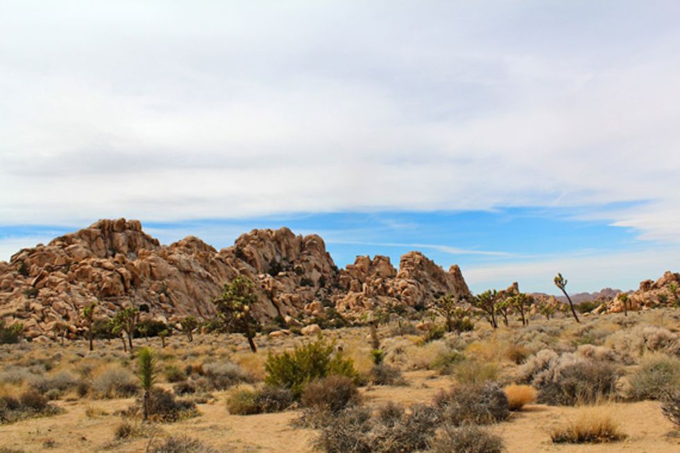 Exploring Joshua Tree National Park in Southern California